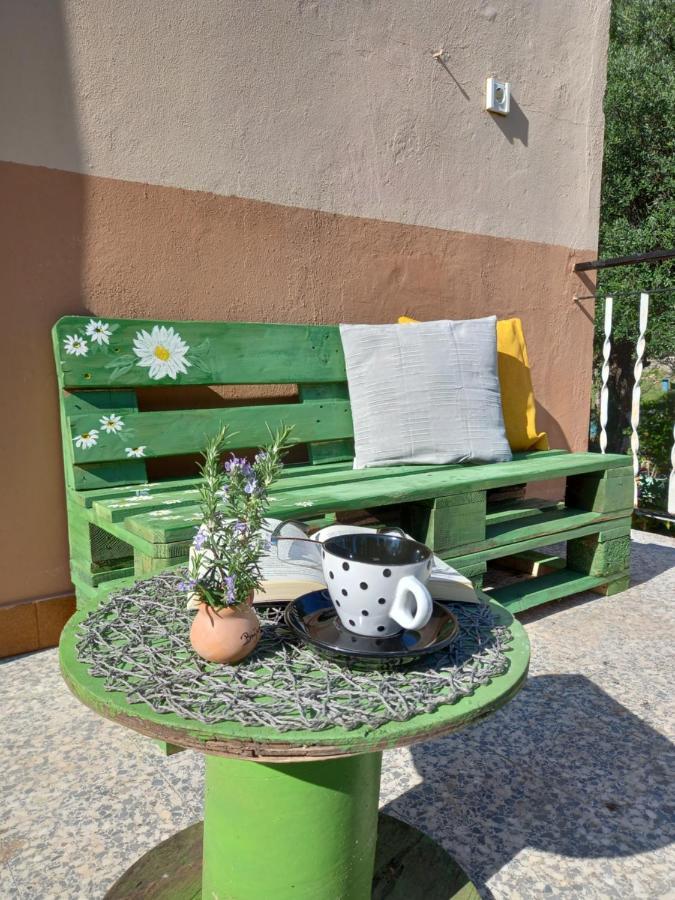 Apartment Summer Dream