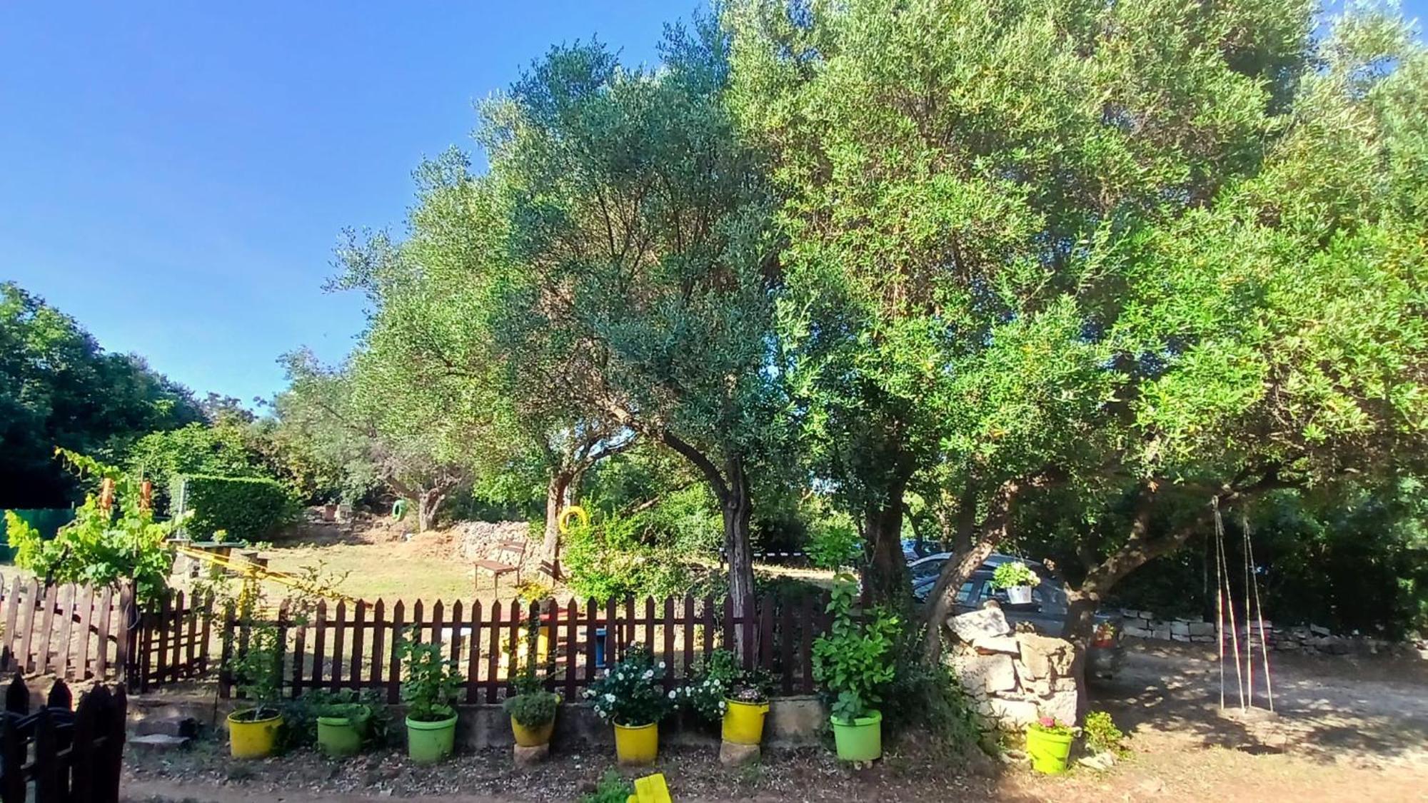 Summer Dream Apartman Rovinj